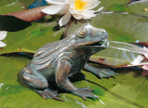Bronzefigur Frosch 11cm Bronze Teichfigur Wasserspeier von Rottenecker
